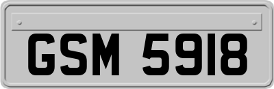 GSM5918
