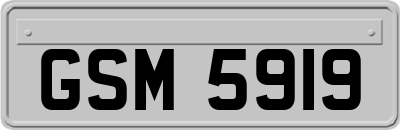 GSM5919