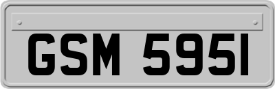GSM5951