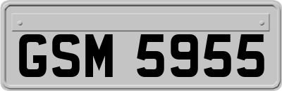 GSM5955