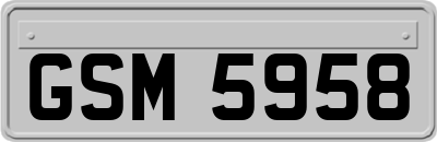 GSM5958