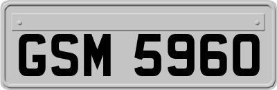 GSM5960