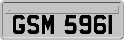GSM5961
