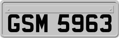 GSM5963