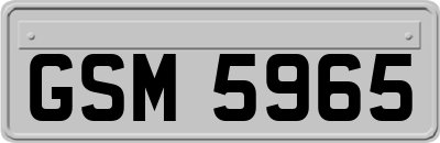 GSM5965