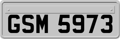 GSM5973