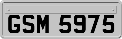 GSM5975