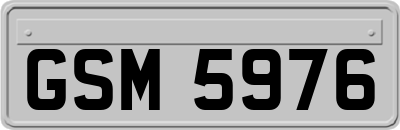 GSM5976