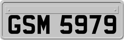 GSM5979