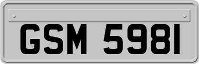 GSM5981