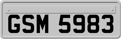 GSM5983
