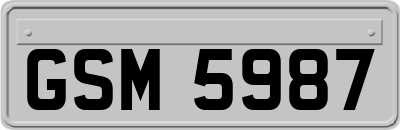 GSM5987