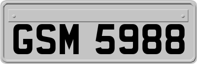 GSM5988