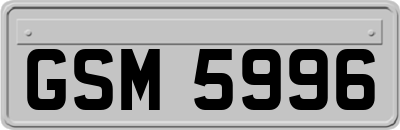 GSM5996