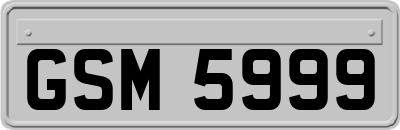 GSM5999