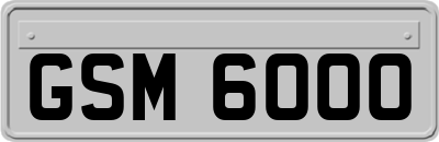 GSM6000