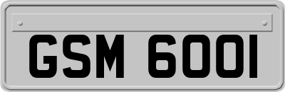 GSM6001