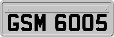 GSM6005