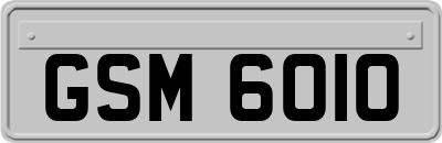 GSM6010