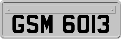 GSM6013