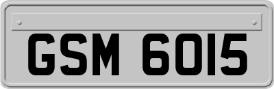 GSM6015