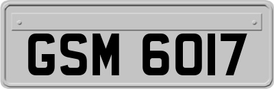 GSM6017