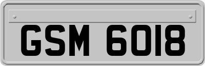 GSM6018