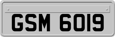 GSM6019