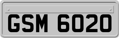 GSM6020