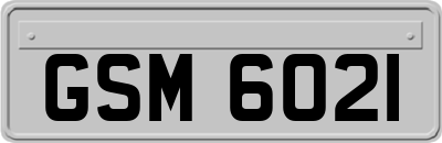 GSM6021