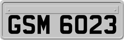 GSM6023