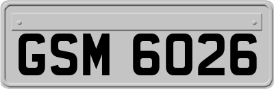 GSM6026