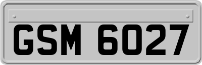 GSM6027