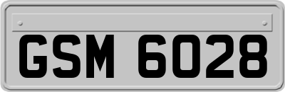 GSM6028