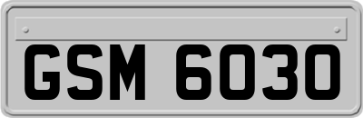 GSM6030