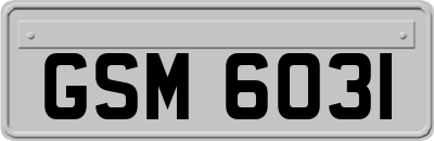 GSM6031