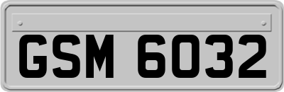 GSM6032