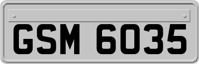 GSM6035