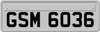 GSM6036