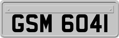 GSM6041
