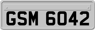 GSM6042