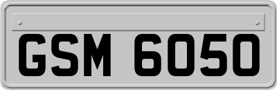 GSM6050