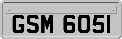 GSM6051