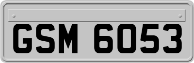 GSM6053