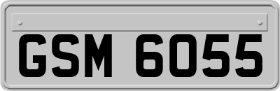 GSM6055
