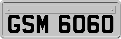 GSM6060