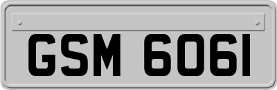 GSM6061