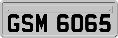 GSM6065