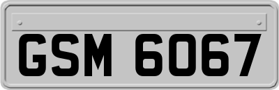 GSM6067