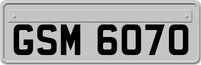 GSM6070
